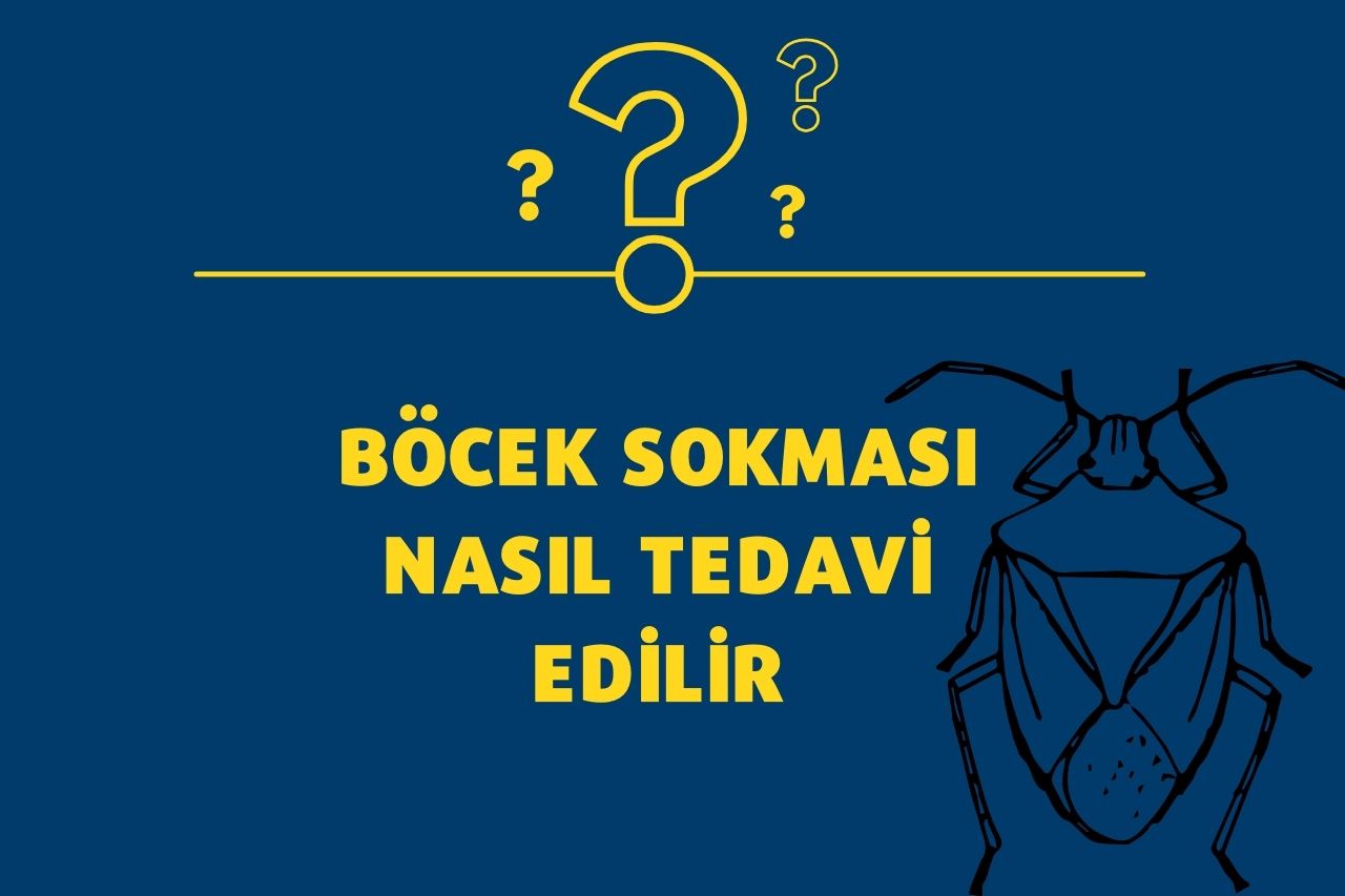 Böcek Sokması Nasıl Tedavi Edilir