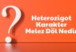 Heterozigot Karakter Melez Döl Nedir? Merak Ediyormusunuz