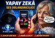 Yapay Zeka Ses Dolandırıcılığı Nedir